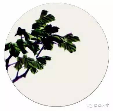 写意牡丹的画法步骤视频教程,王雪涛写意牡丹画法视频大全