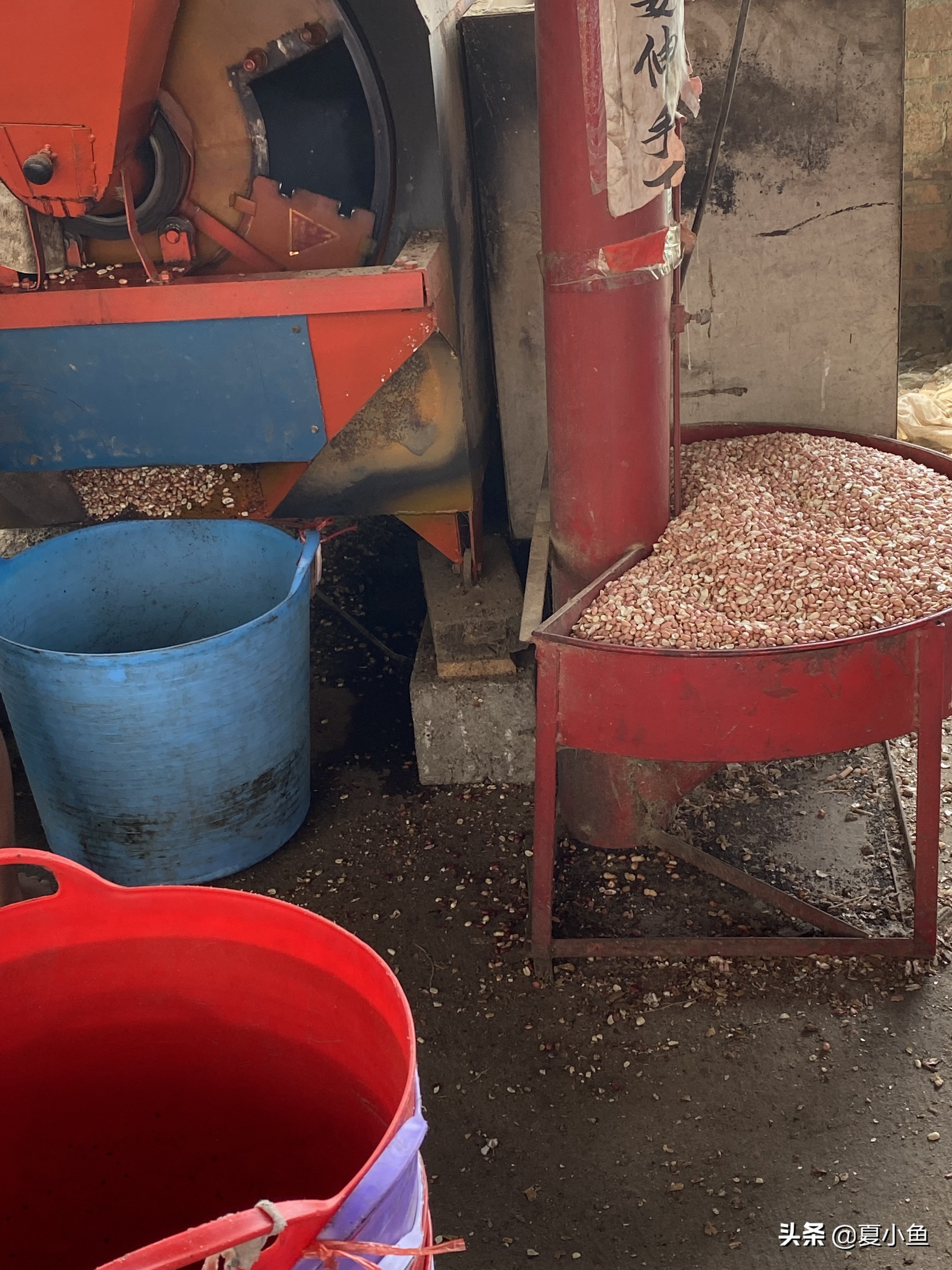 纯正花生油背后的秘密,花生油的猫腻是怎么回事