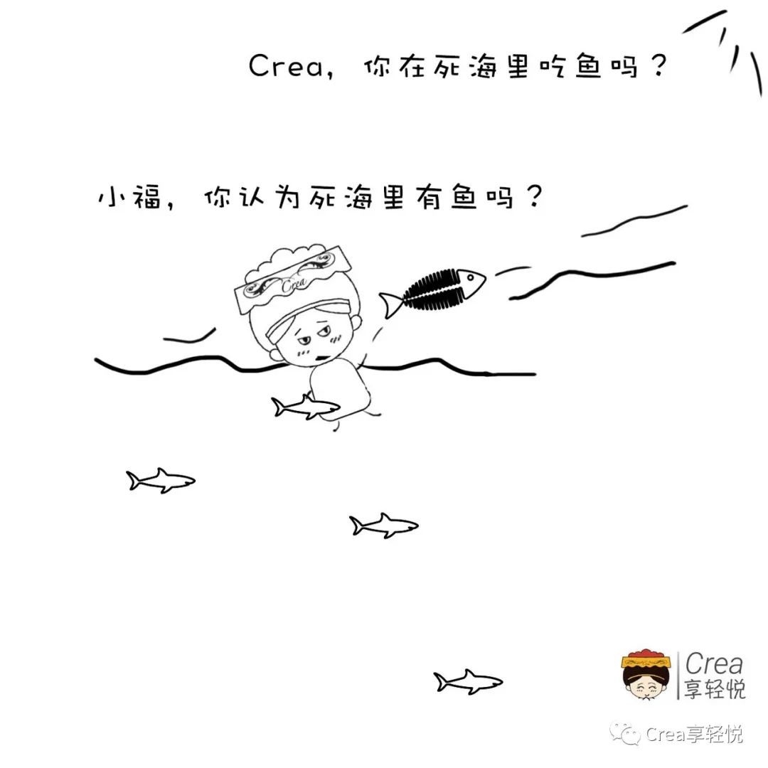 盐的药用价值及功效与作用,盐的药用价值及功效和作用