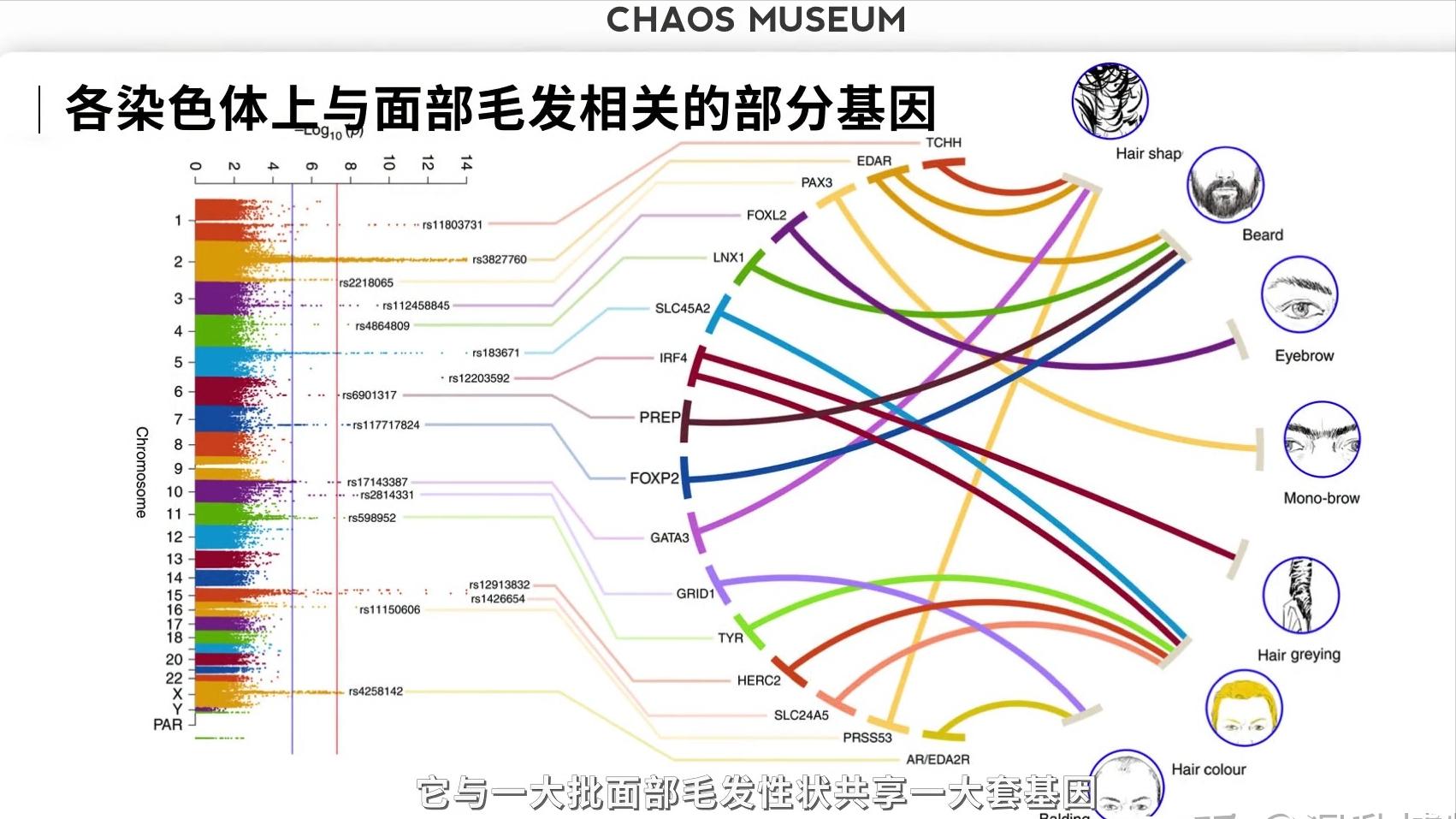 祖先全身毛发，人类进化得却只有阴毛、头发等，原因何在？