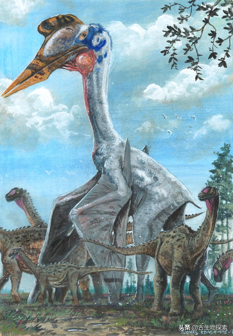 以恐龙为食的翼龙像飞机一样大！