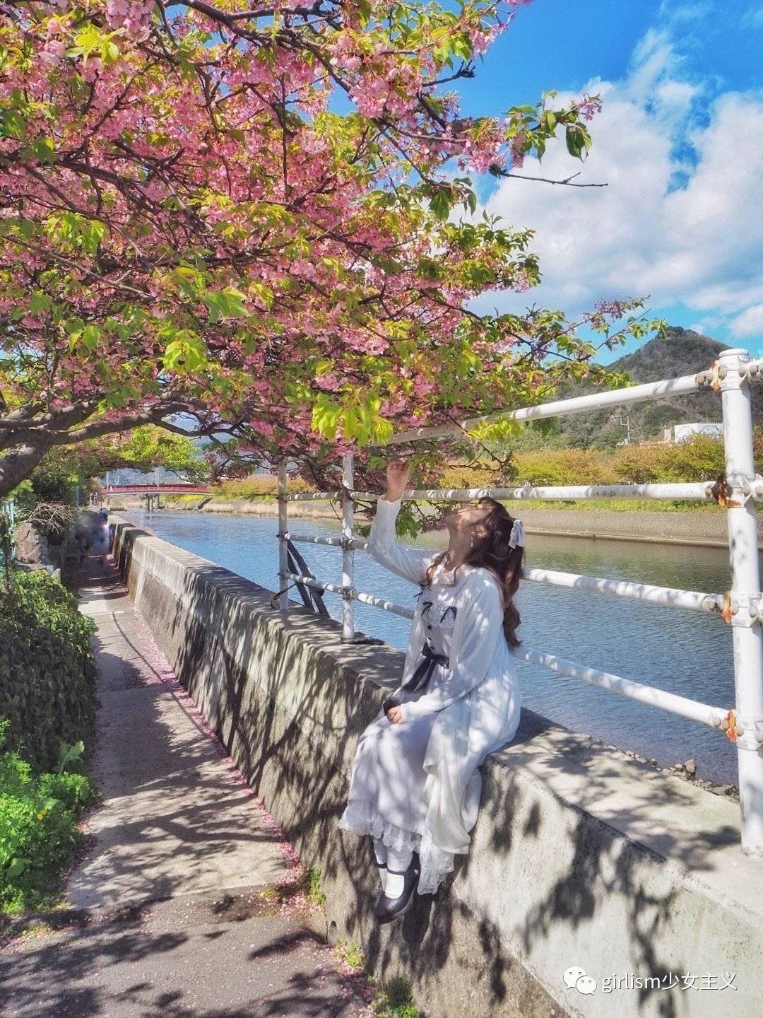 樱花与Lo|春天来了,好想穿上小裙子去赏花啊