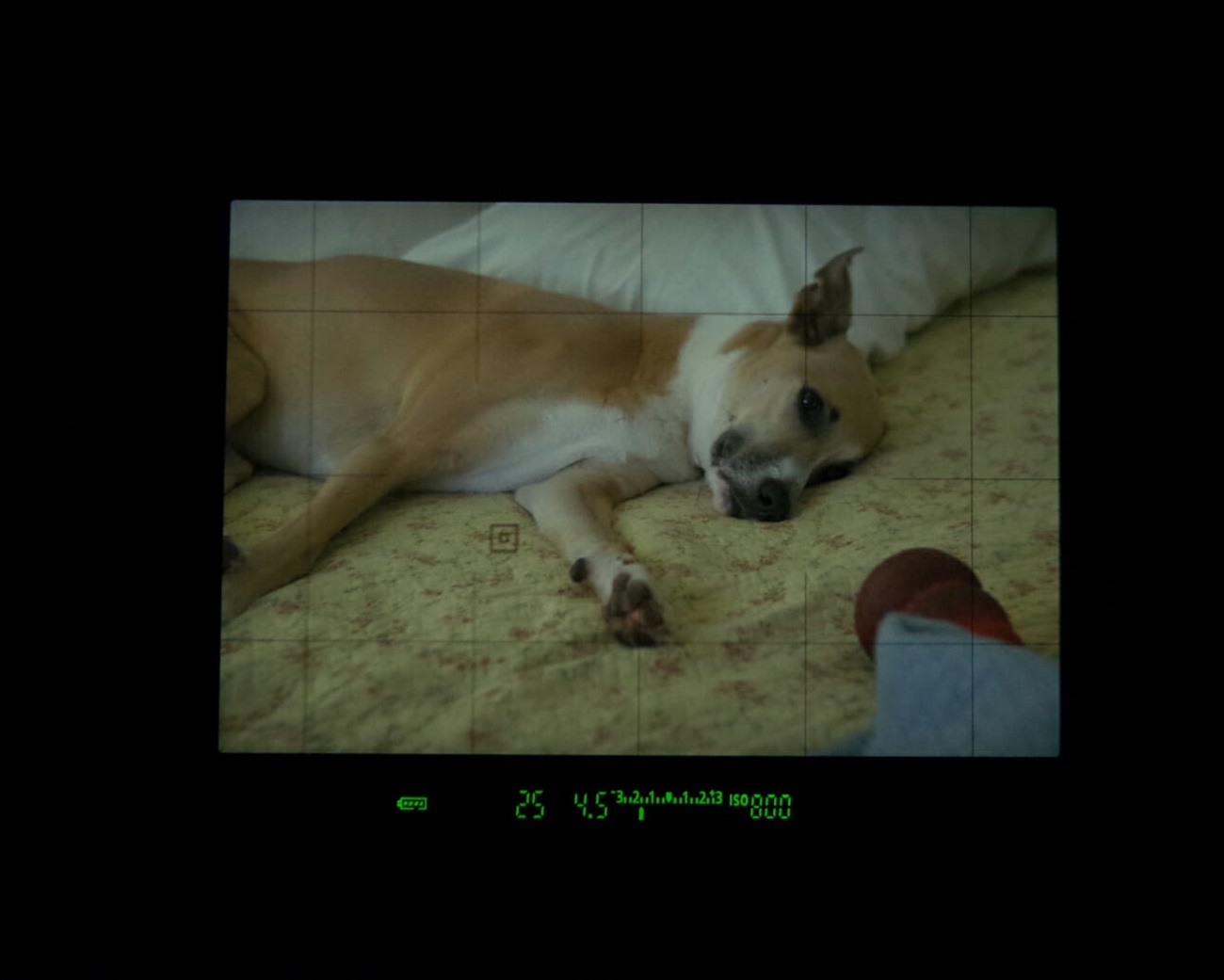 单反各档的正确使用方法,单反相机这些按钮都是什么功能