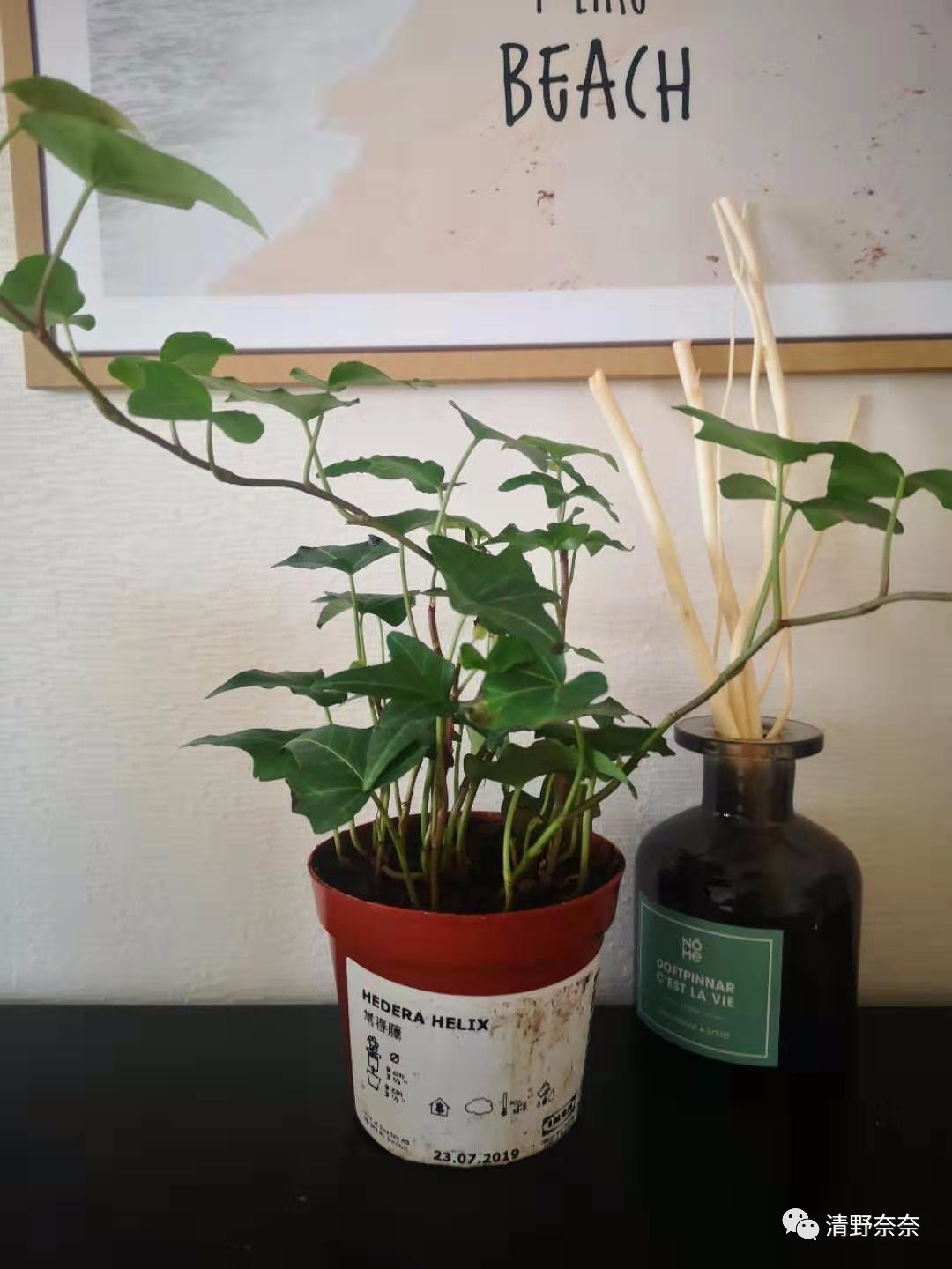 闲逛宜家，我发现两张毛爷爷居然能买到19件10元家居好物