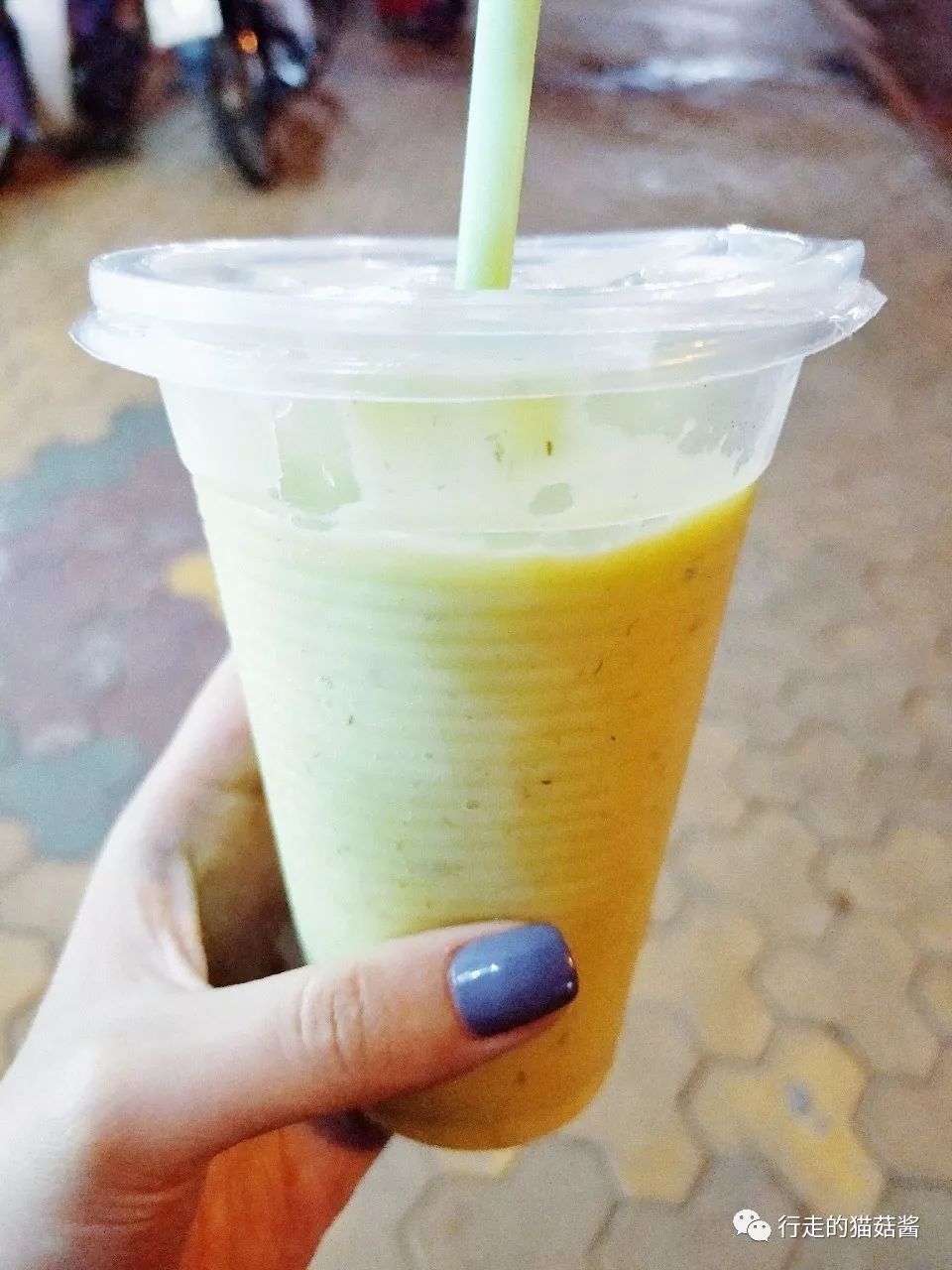 胡志明大叻美奈旅游攻略,越南胡志明美奈大叻地图