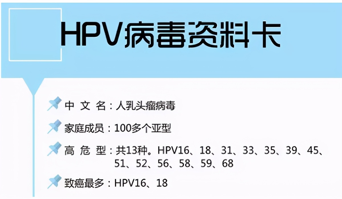 为什么洁身自好还得hpv16,洁身自好为啥会hpv感染
