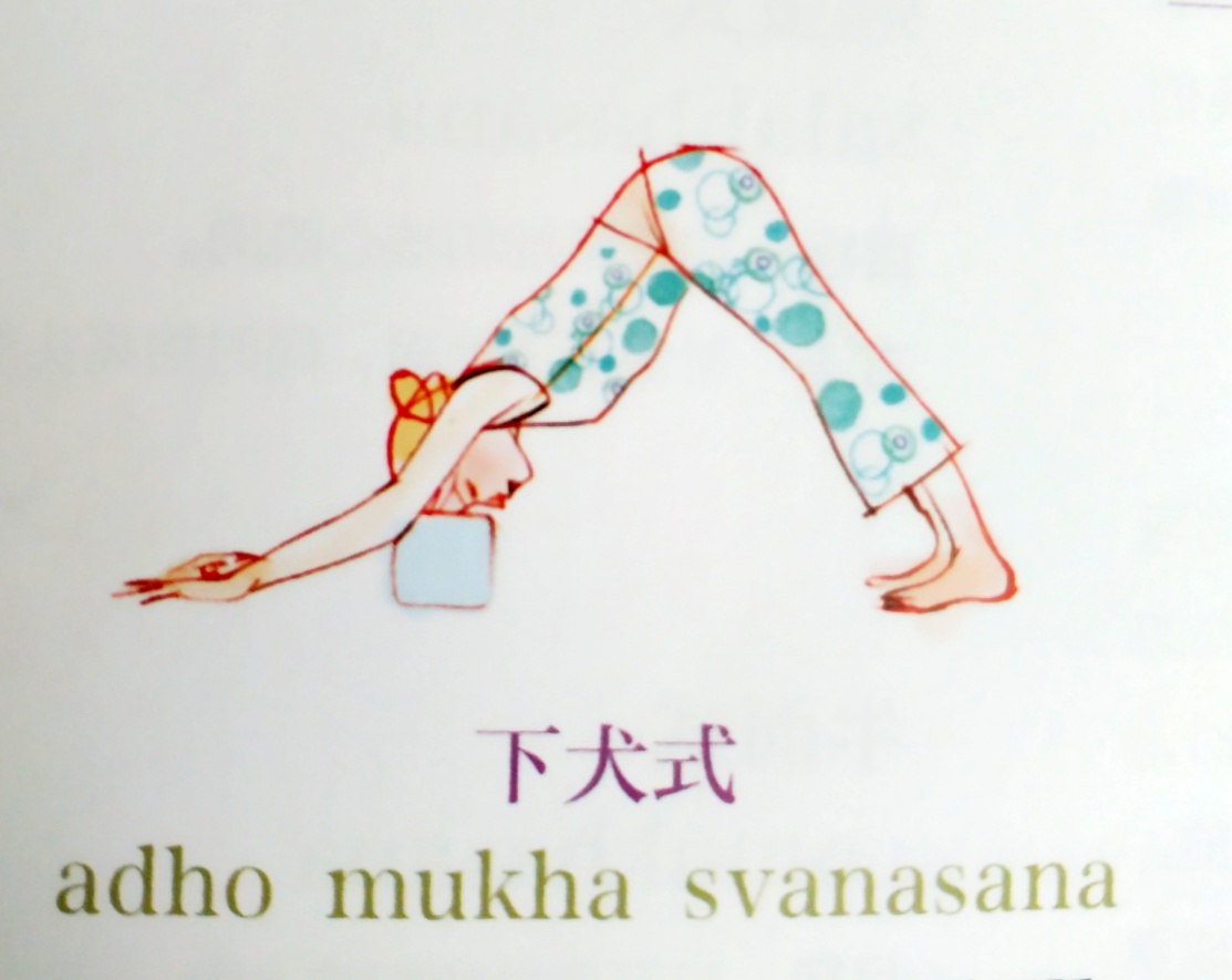 南宁缓解肩颈问题瑜伽体式,肩颈不适适合做什么运动