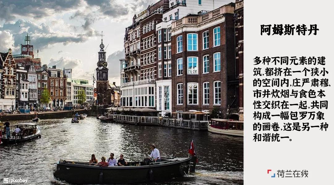 荷兰的郁金香风车牧场和运河,荷兰郁金香风车美景