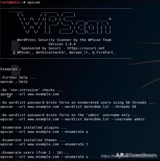 二十二，渗透网站信息，域名信息、端口信息、敏感信息及指纹信息