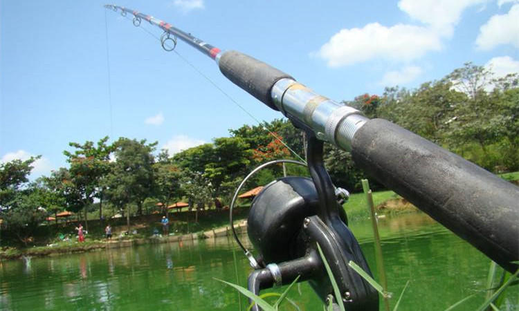 鱼护怎么防止老化,好一点的鱼护有必要吗