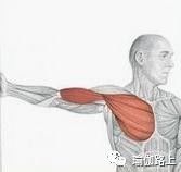 打通胳膊经络锻炼动作和方法,手臂经络不通松解法教程