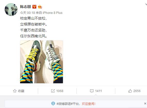 陈志朋微博回应另类造型,陈志朋回应另类造型