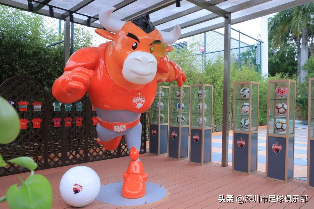 你的一票很重要!快来投出深足吉祥物的名字