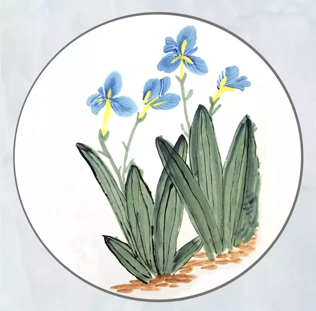 五一节小长假去哪儿,五一小长假去哪儿离福宝还近