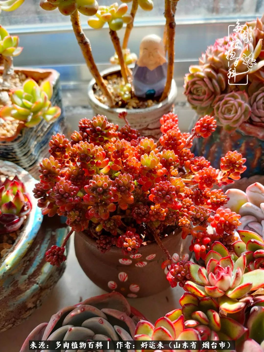 世上怎么会有这么可爱的生物,这世上怎么会有那么可爱的小可爱