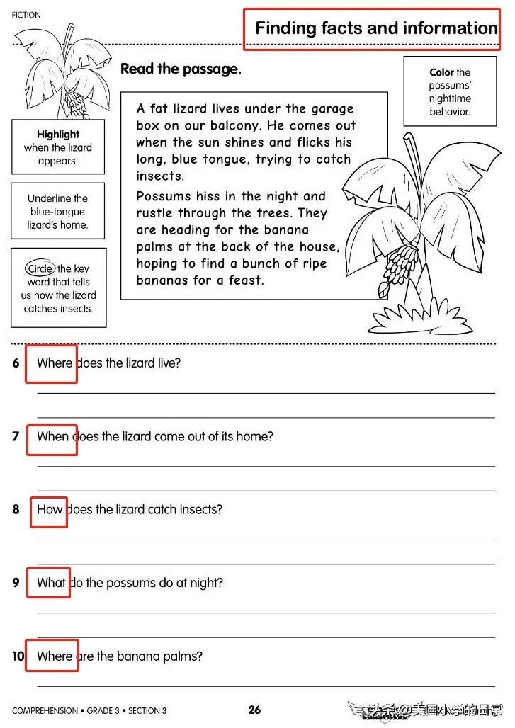 几千页的练习册全免费！暑假陪孩子在家做原汁原味的美式作业