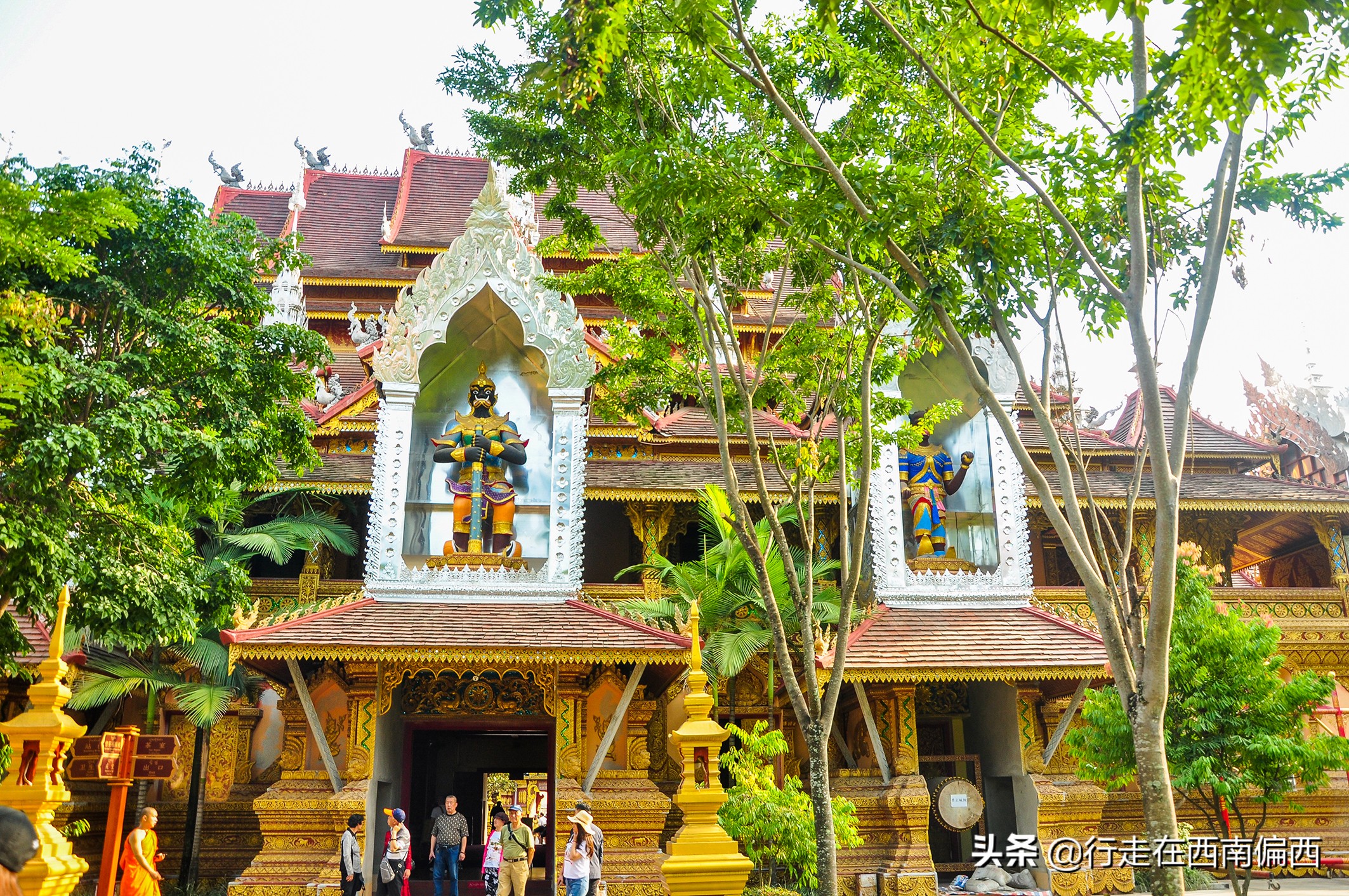 西双版纳五树六花185平米,西双版纳花的世界