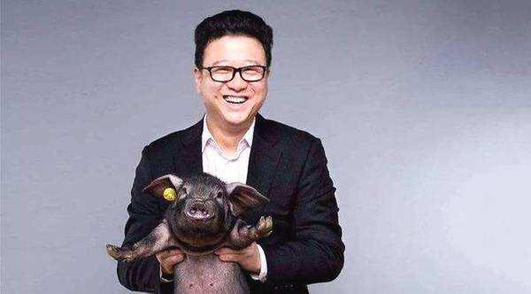 网易丁磊养猪视频现在怎么样了,网易丁磊最新布局