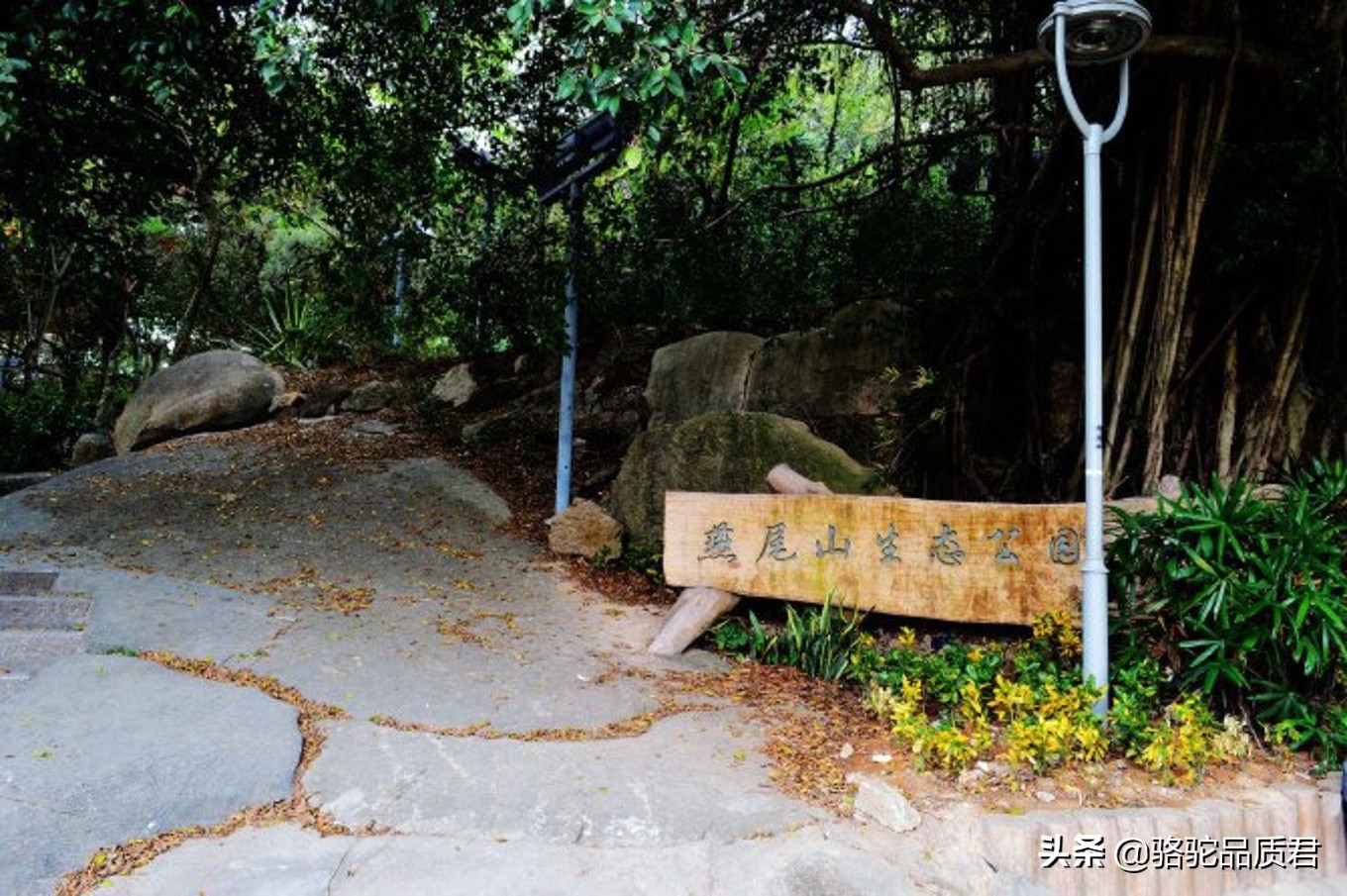 厦门海边之旅,厦门小众旅游体验