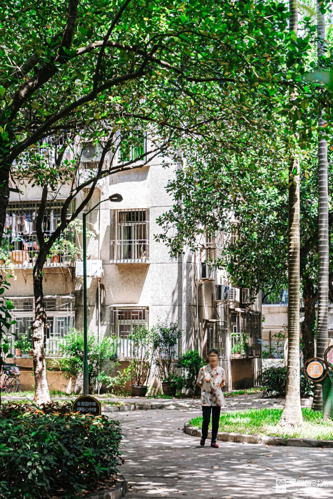 华侨城一期西区,华侨城发展历程