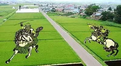 日本的农村的发展,日本小地形农业机械化