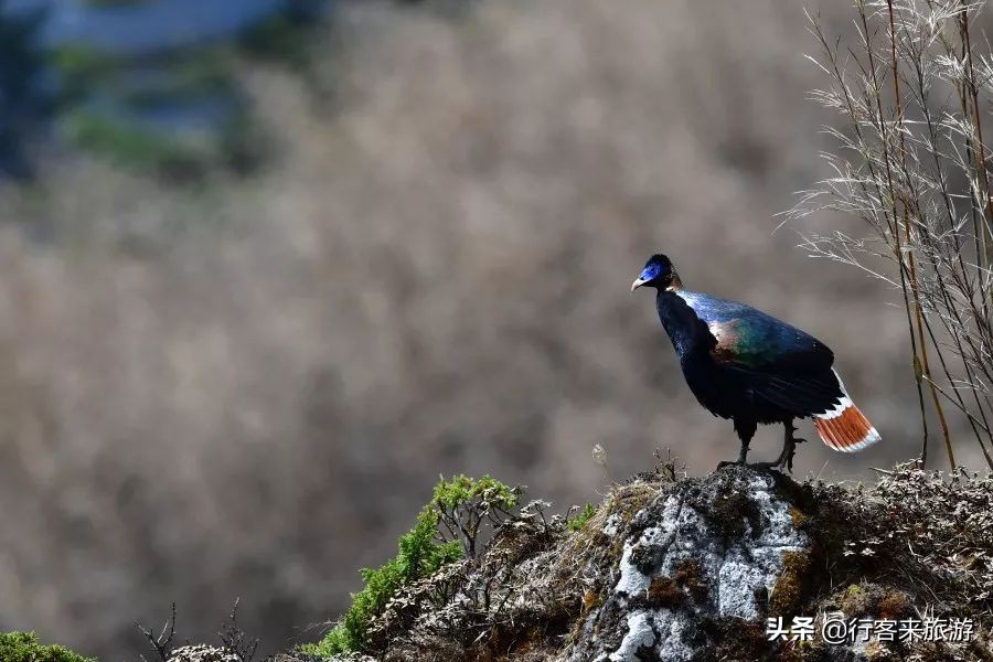世界最大峡谷,云南最大的峡谷怒江大峡谷