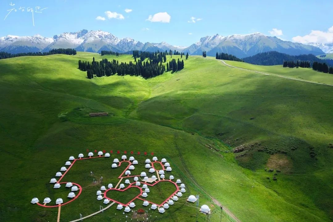 一个苏州女子,一个*疆新**控,2020年疫情之下去*疆新**旅行5次