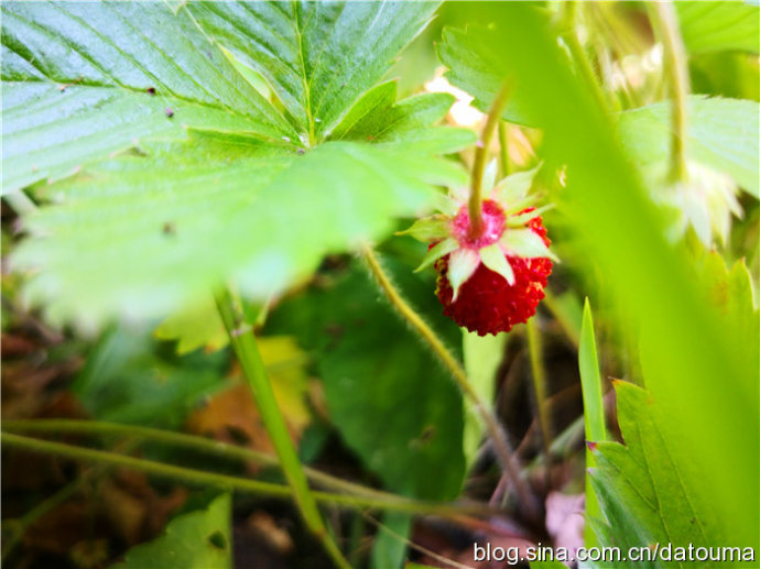 在新西兰你活得多自在,新西兰成功治好了我的焦虑