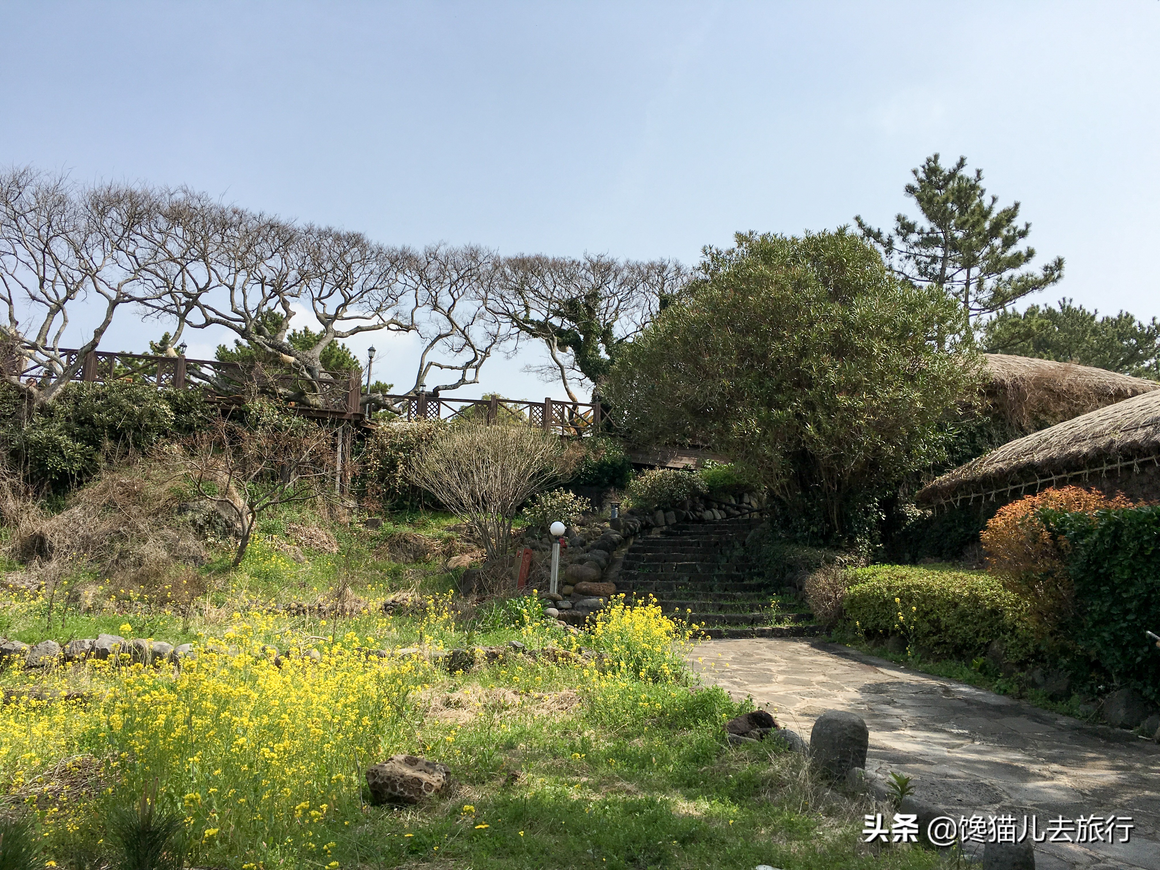 韩国汗蒸馆内中文,韩国汗蒸馆中文