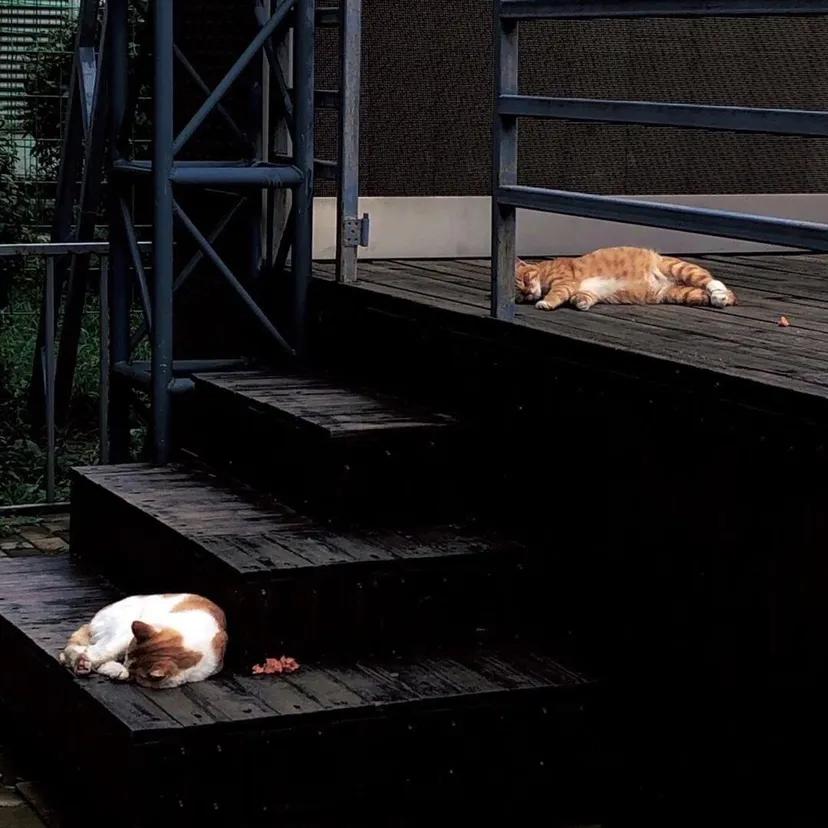 小众ins微信聊天背景图黑暗,小众聊天背景图全屏