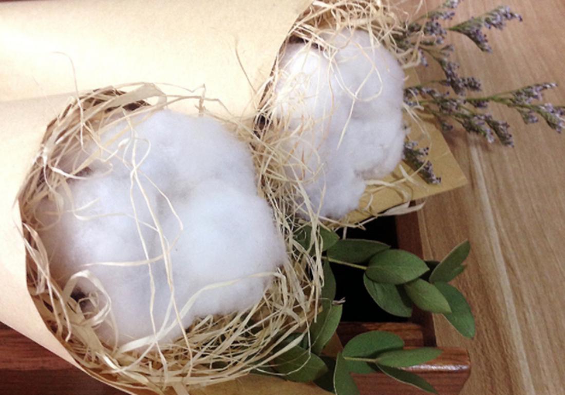 棉田管理的方法,棉田除草的正确方法