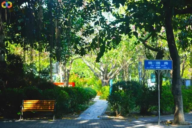 从平安路到桃园路的旧街，独属于老香洲的记忆