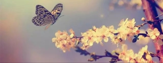 左眼跳财右眼跳灾这个说法准确吗,左眼跳右眼跳的真正含义绝不迷信