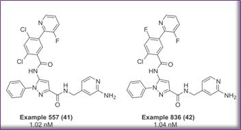 澶氬璺ㄥ浗鑽紒,璺ㄥ浗闆嗗洟鐮斿埗鐨勬姉鐧屾敞灏勫墏