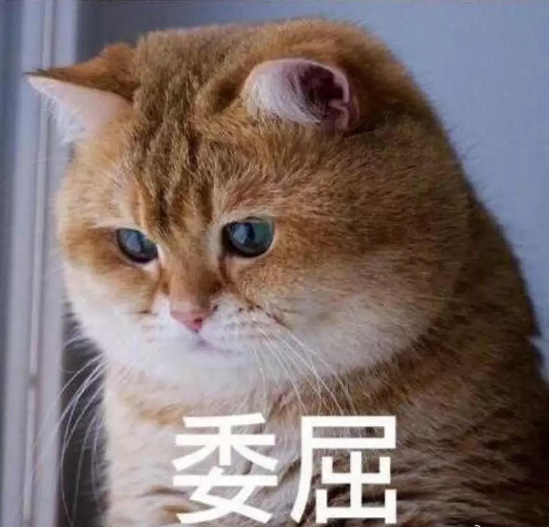 offway加州潮牌,offway值得入手吗