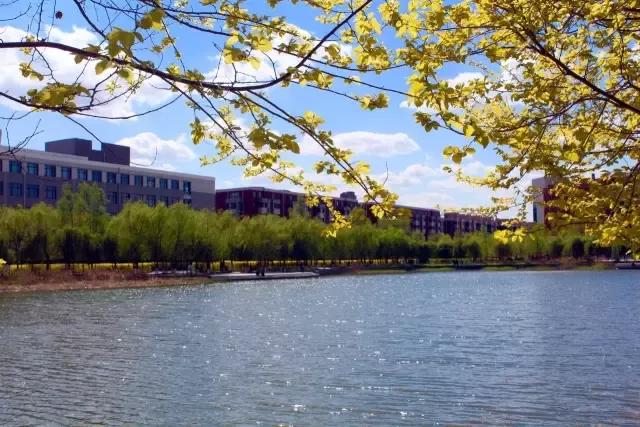 辽宁中医药大学杏林学院规模,辽宁中医学院杏林学院的排名