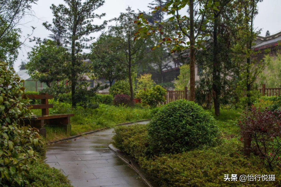 青城山离哪个大学最近,青城山脚下有哪所大学