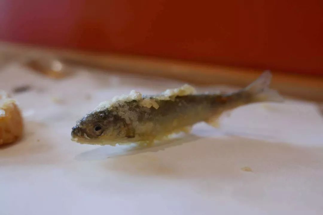 海错图爱情笔记写的是什么,海错图笔记中的错