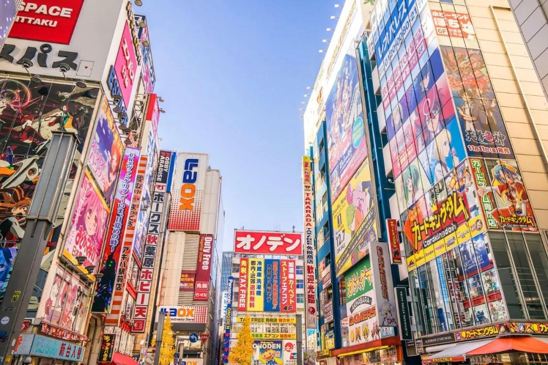 日本零关税！去日本就能买“平价”欧洲大牌，还省机票钱
