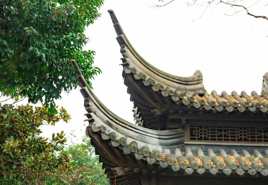 南京腊梅最佳观赏时间,南京赏梅花景点推荐