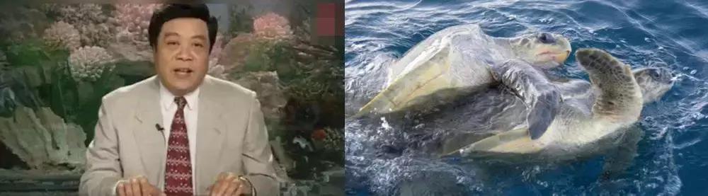 他送的情人节礼物,我居然过敏!