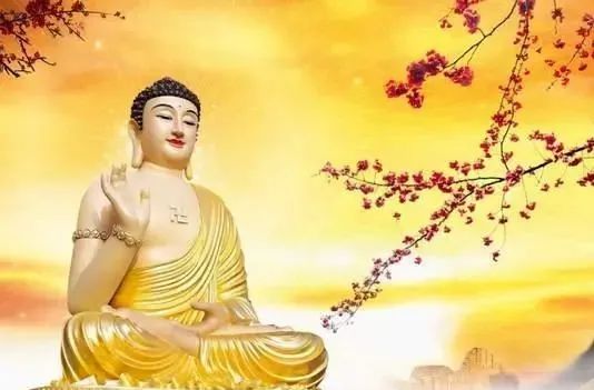 鍚櫤澧炴収鍥烘湰寮哄熀,鍚櫤澧炴収鎺ㄨ崘鐞嗙敱