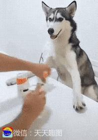 每天笑个不停,每天笑个不停怎么办