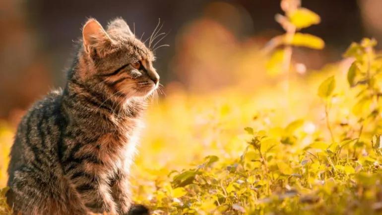 友情终成遗憾,友情和爱情的尽头