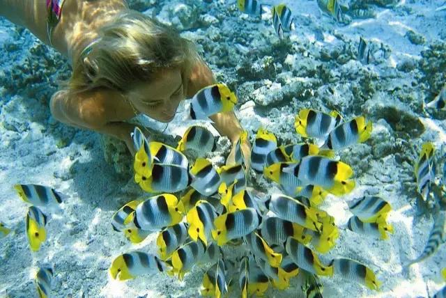 全球惊艳的10个海底世界，看到第一个就想出发！