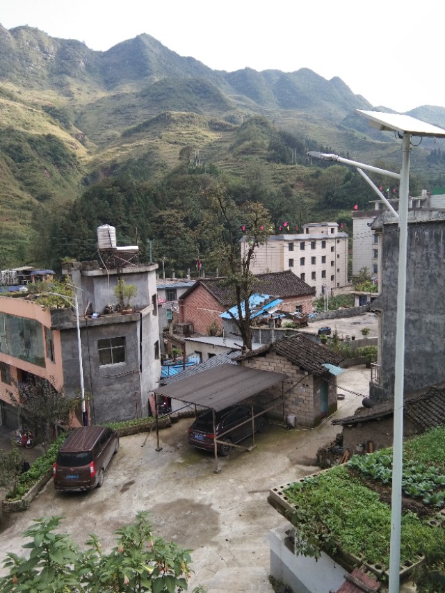 捡来的幸福新浪博客,捡来的幸福2