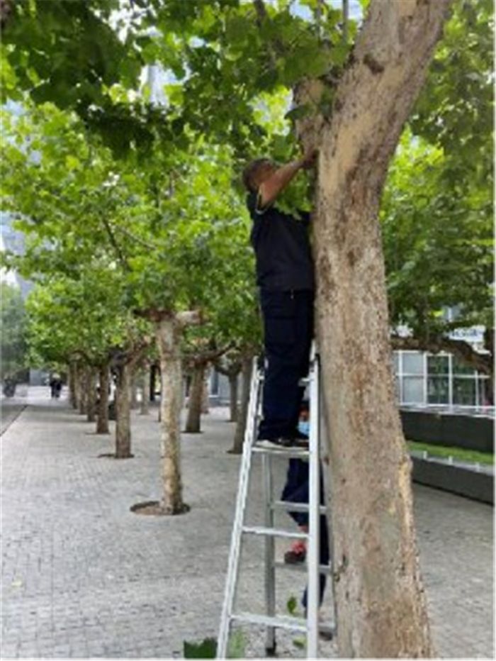 绿满京华驰声走誉——融科资讯中心(二)