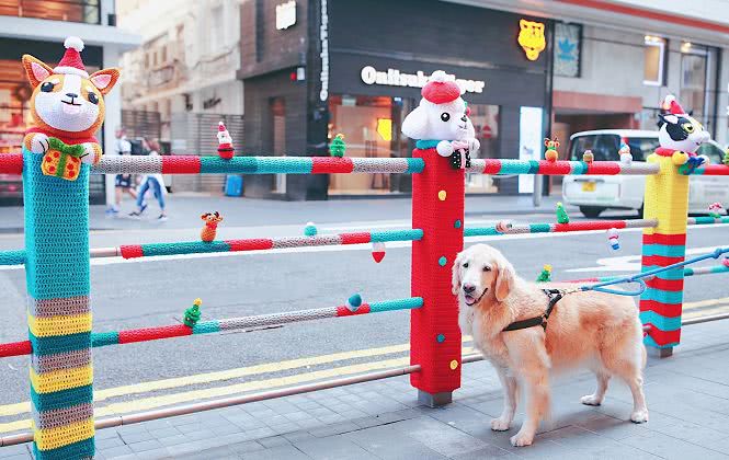 香港巨型圣诞树,香港圣诞树旅游攻略