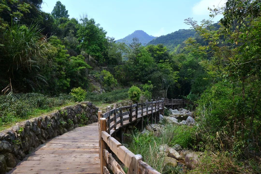 春节梅州自驾游十大景点推荐,梅州国庆夜景景点大全