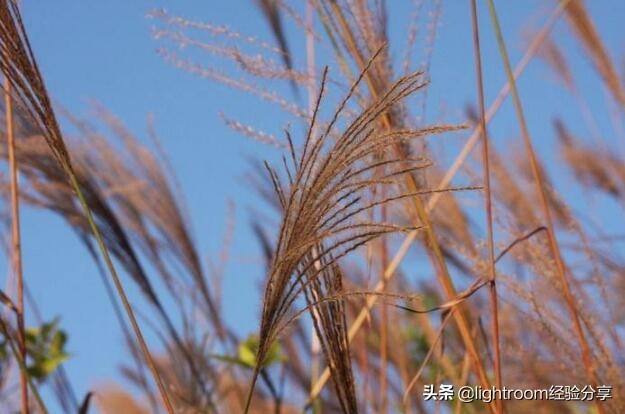 摄影光线运用,摄影拍出风的效果